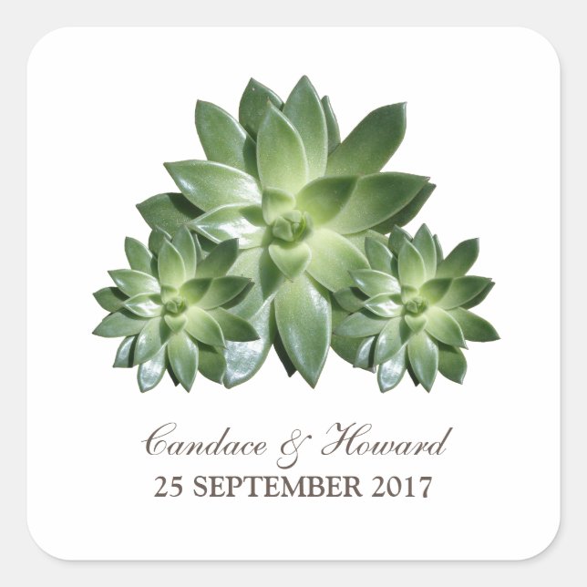 Stickers Mariage Succulent Simple (Devant)