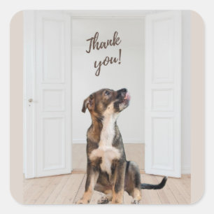 Stickers Merci Puppy