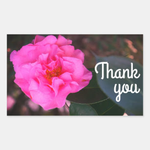 Stickers Merci rose Camellia