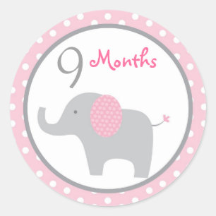 Stickers Milestone Mod Pink Elephant Girl Monthly