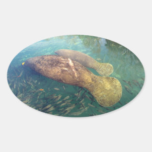Stickers Momma et Baby Manatee