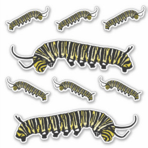Stickers Monarque Papillon Caterpillar Illustré