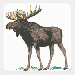 Stickers Moose