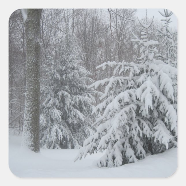Stickers Neige En Nouvelle-Angleterre (Devant)