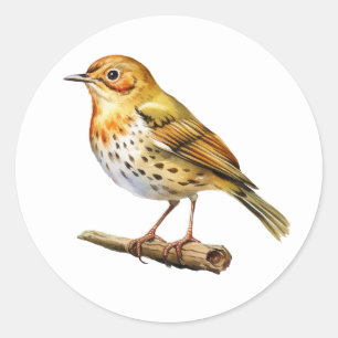 Stickers Oiseau au four