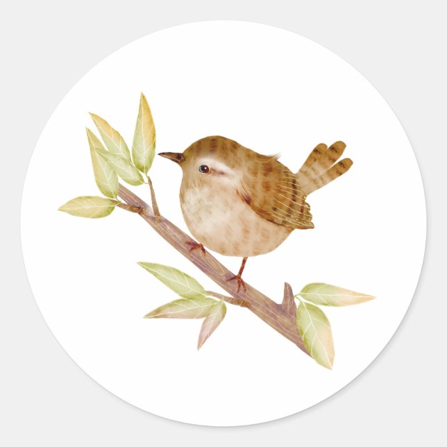 Stickers Oiseaux Wren (Devant)