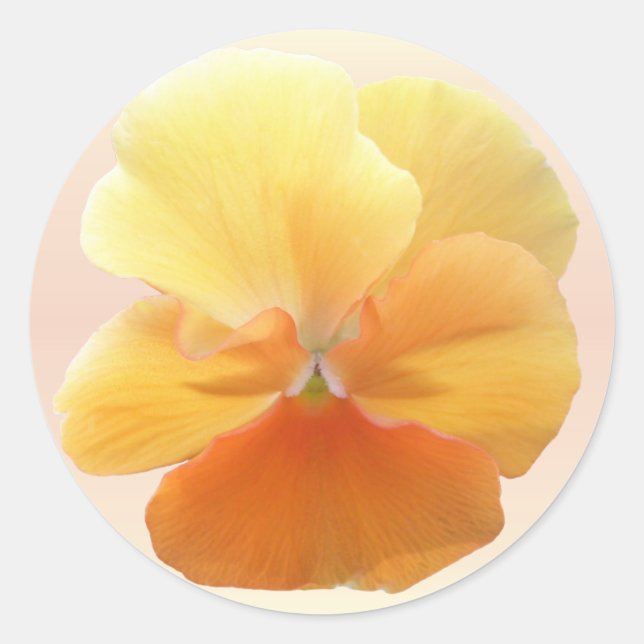 Stickers - Orange Pansy (Vorderseite)