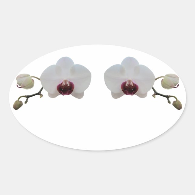 Stickers - Orchidée blanche à lèvres rubis (Devant)