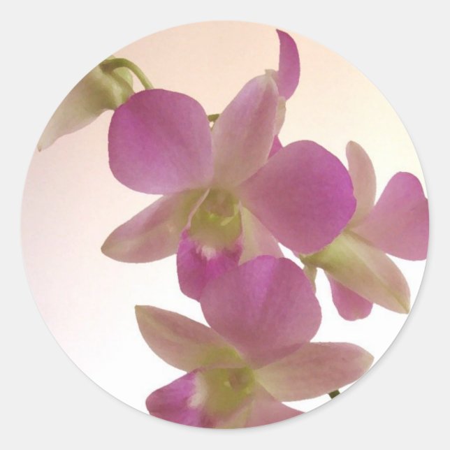 Stickers Orchidée violette (Devant)