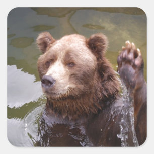 Stickers Ours Brown de bain