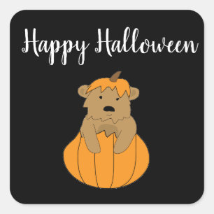 Stickers Ours Citrouille Halloween