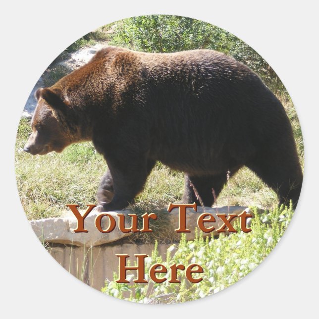 Stickers Ours Grizzly (Devant)