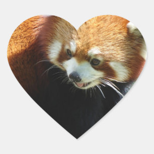 Stickers Ours Panda Rouge Cute