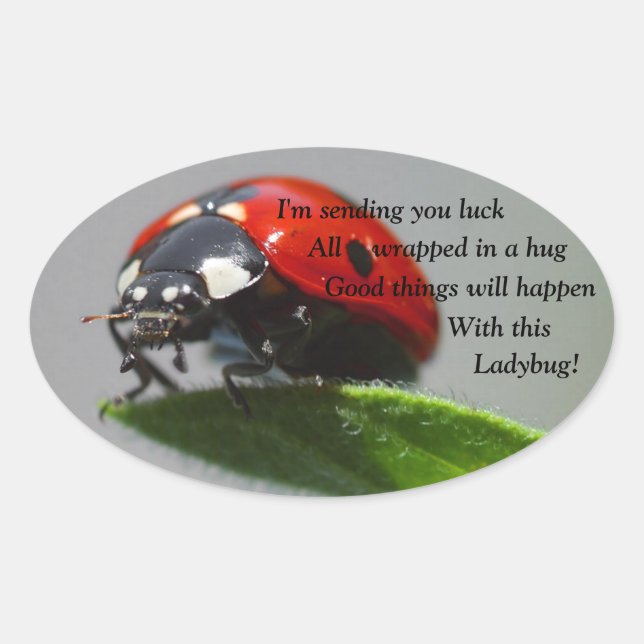 Stickers Ovale de Bonne chance Ladybug (Devant)