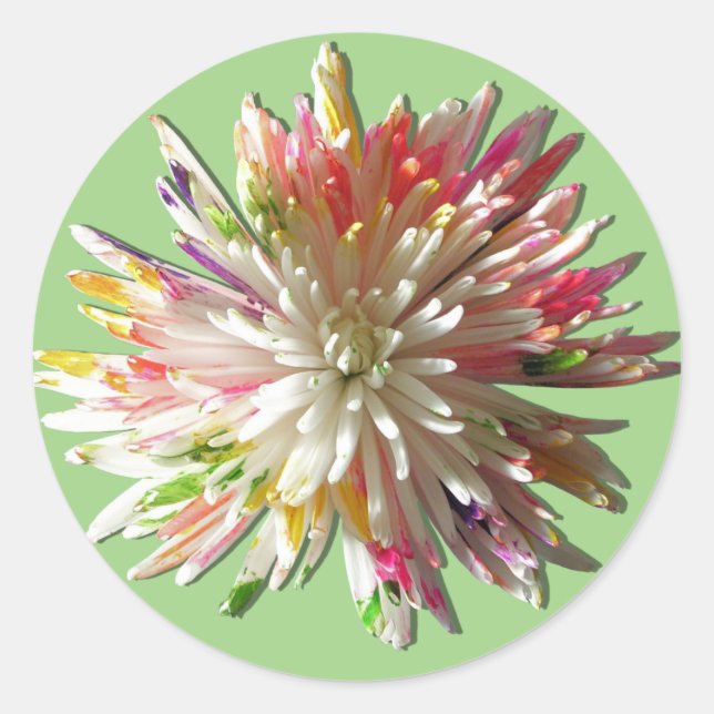 Stickers - Painted White Spider maman (Devant)