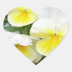 Stickers Pansies Jaunes