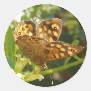 Stickers Papillon