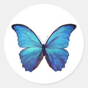 Stickers Papillon bleu Morpho