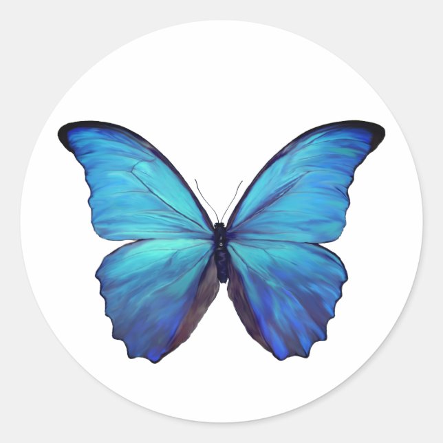 Stickers Papillon bleu Morpho (Devant)