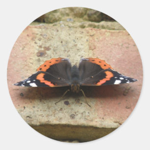Stickers papillon de l'amiral rouge