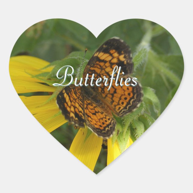 Stickers Papillon minuscule (Devant)