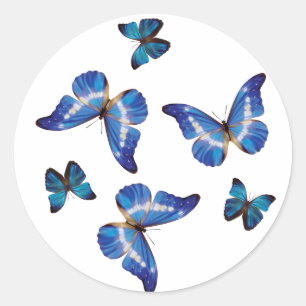 Stickers Papillons Morpho Bleu