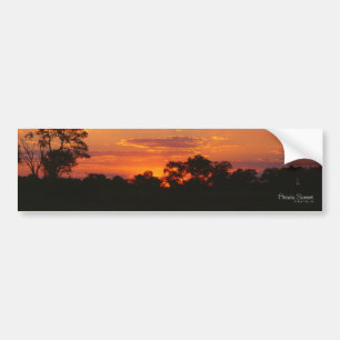 Stickers pare-chocs Acacia Sunset