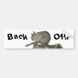 Stickers pare-chocs arrière de l'écureuil