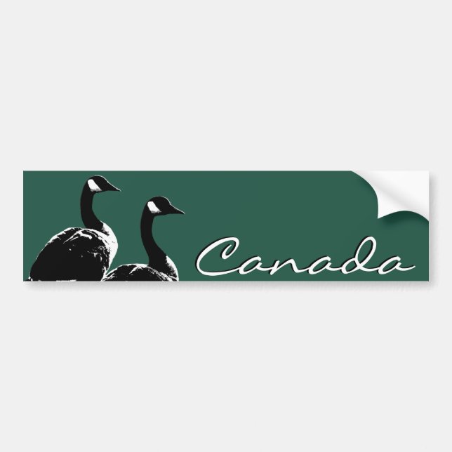 Stickers pare-chocs Canada Stickers oies du Canada (Devant)