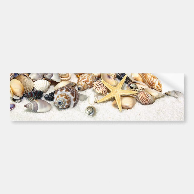 Stickers pare-chocs des coquillages (Devant)