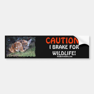 Stickers pare-chocs pour animaux domestiques et de