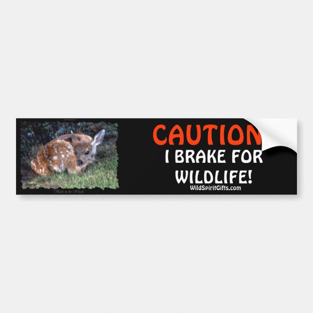 Stickers pare-chocs pour animaux domestiques et de (Devant)