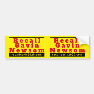 Stickers pare-chocs recallgavin2020