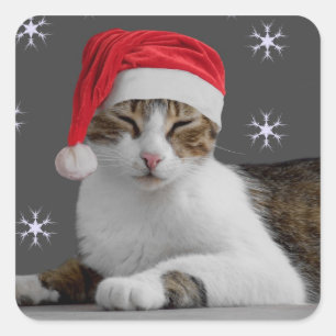 Stickers père Noël Cat