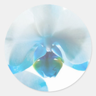 Stickers personnalisés élégants orchidées bleues