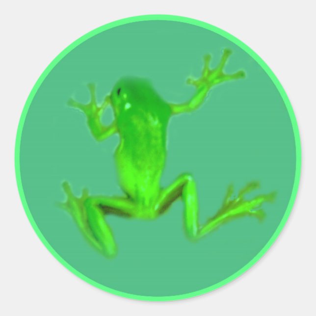 Stickers Petit Froggy Vert (Devant)