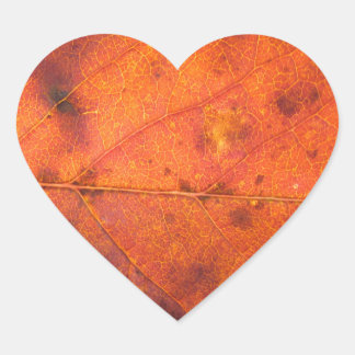Stickers photo à feuilles d'automne orange-rouge