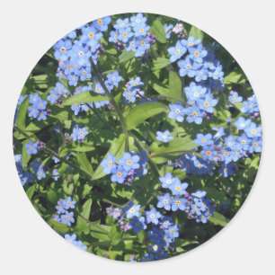 Stickers Photo Delicic Blue Forget-Me-Not