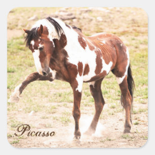 Stickers Picasso Stallion Picasso de Peinture sauv