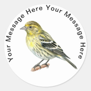 stickers Pine Siskin
