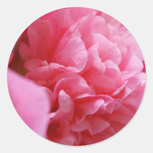 Stickers Pinkalicious (Devant)