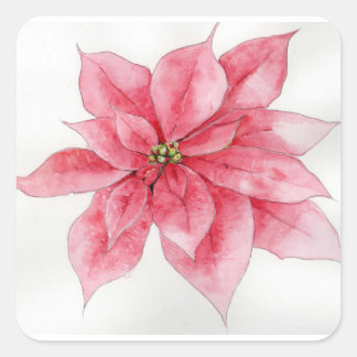 Stickers Poinsettia aquarelle