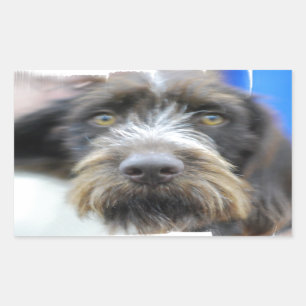 Stickers Pointeur Haired