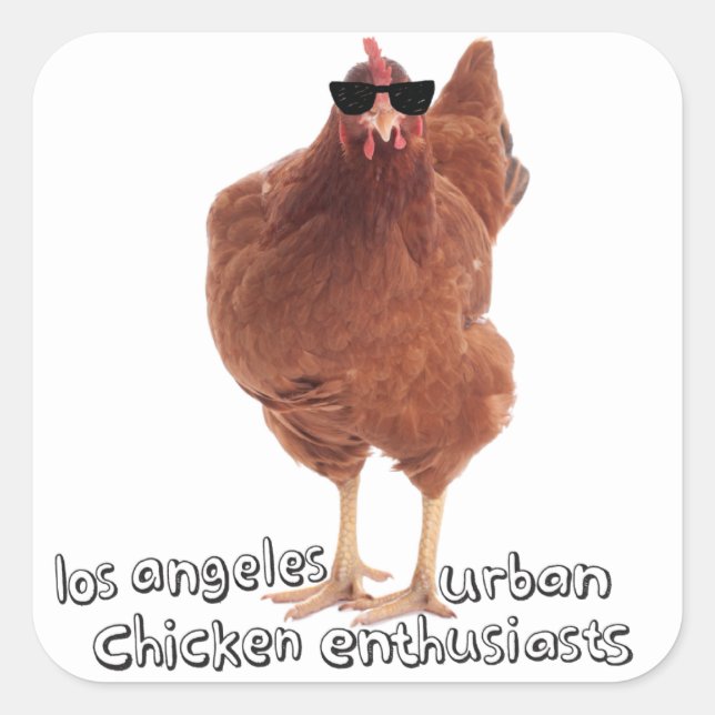 Stickers Poulet ! (Devant)