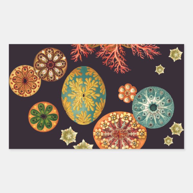 Stickers Remix d'écureuils de mer (Devant)