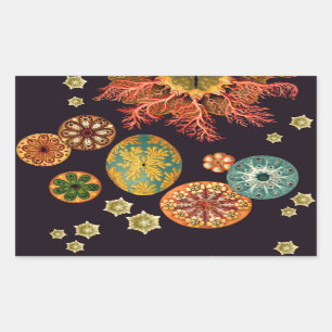 Stickers Remix d'écureuils de mer