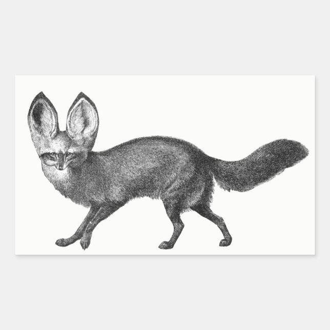 Stickers Renard Gagné de chauve-souris (Devant)