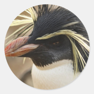 Stickers Rockhopper Penguin