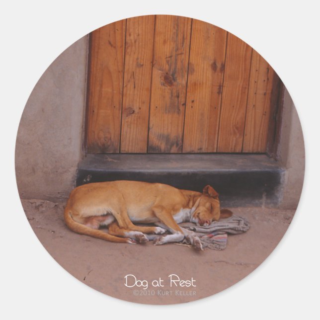 Stickers Rond Dog au repos (Devant)