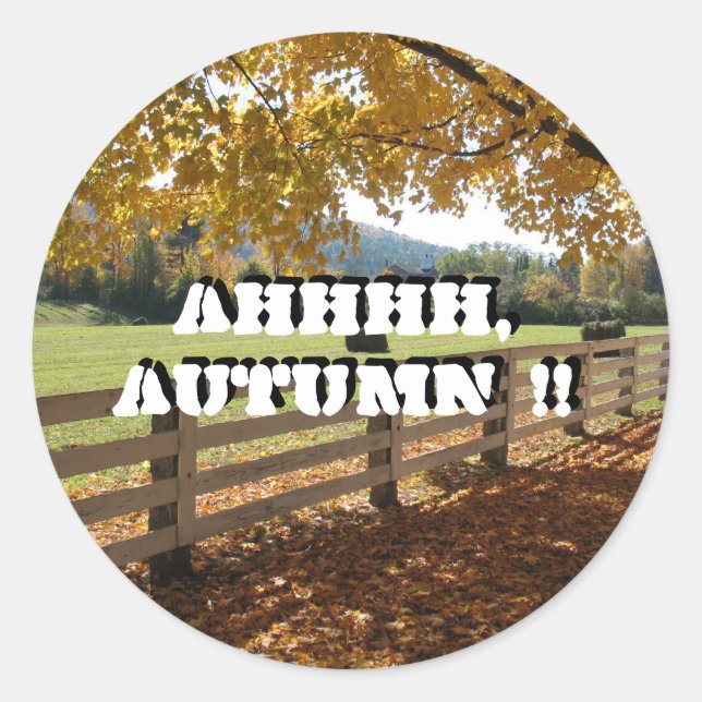 Stickers ronds (Devant)